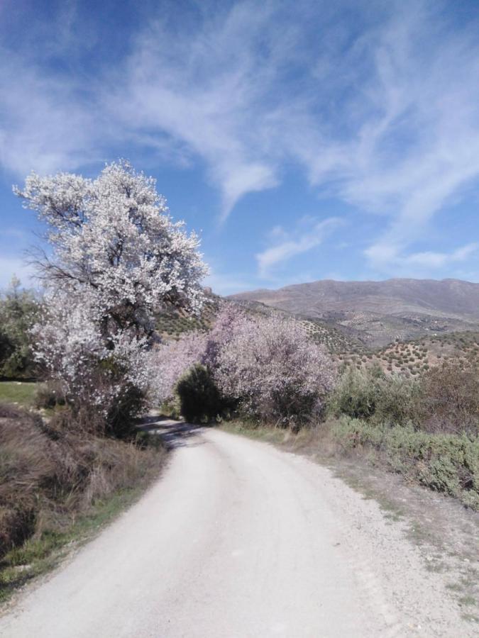 El Convento Vivienda Rural Jaén Andalucía España * Carchelejo
